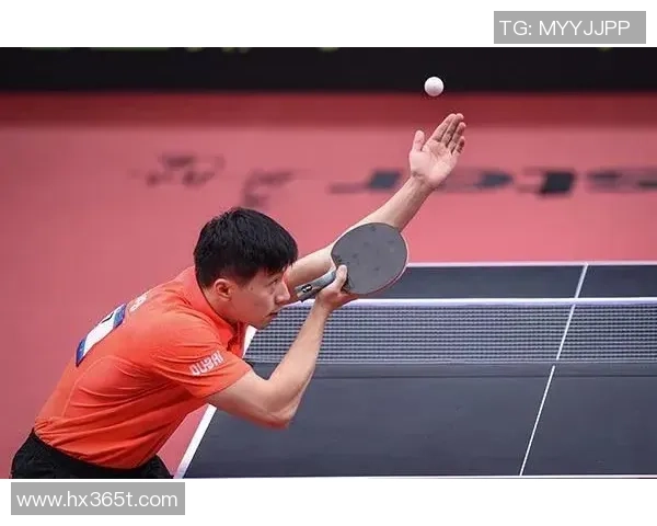 专访乒乓球名将杨伟深度剖析成功背后的秘诀与心路历程